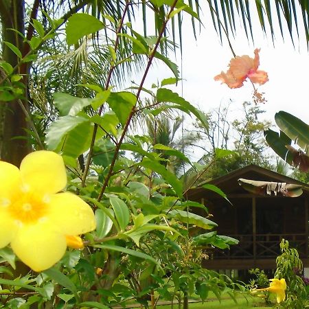 J&H Garden Cabinas Bocas del Toro Buitenkant foto